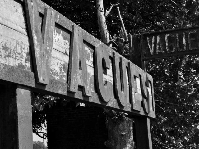 vailati-propiedades-vagues